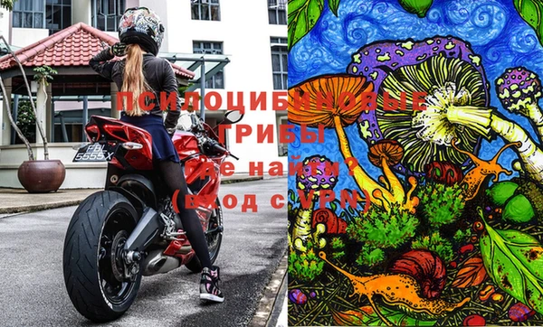 spice Алзамай