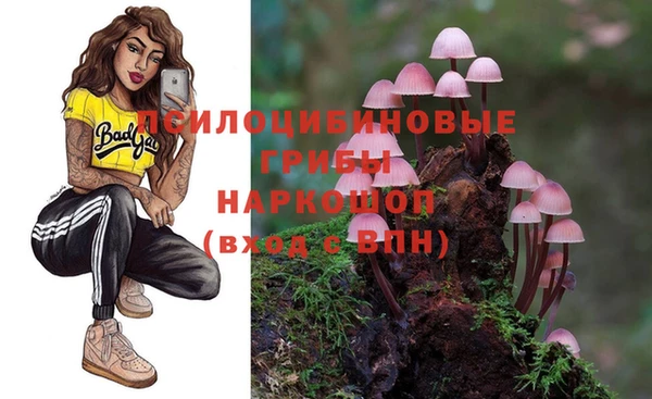 винт Алексин