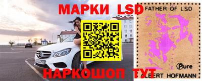 шишки Кинель