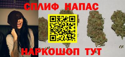 шишки Кинель