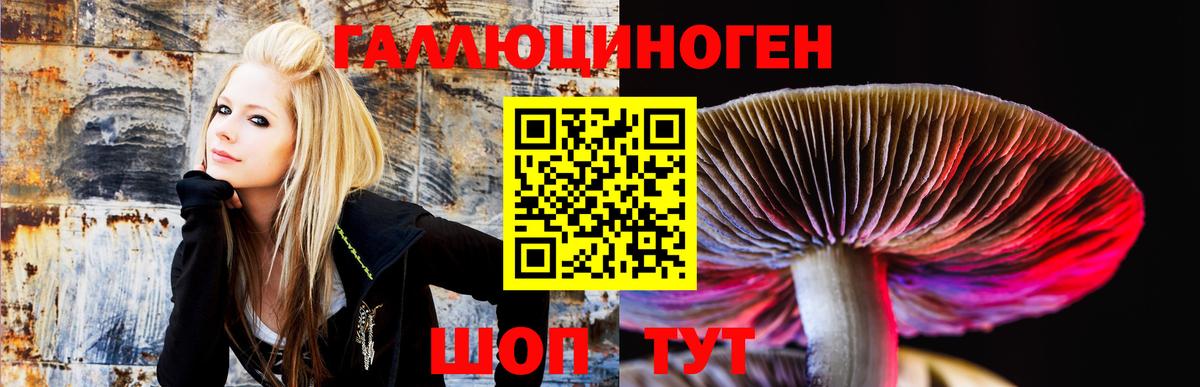 Галлюциногенные грибы Psilocybine cubensis Йошкар-Ола